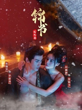 錦書謀權(quán)錄