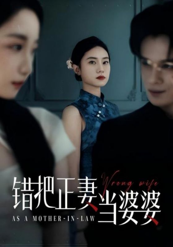 錯把正妻當(dāng)婆婆