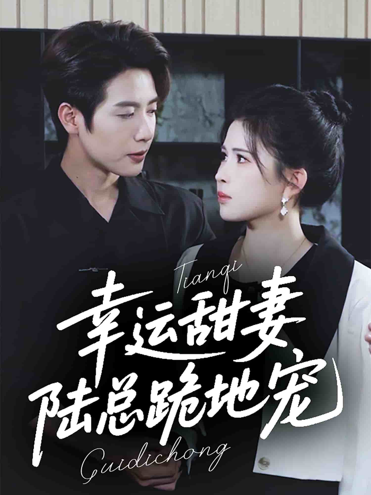 幸運甜妻，陸總跪地寵