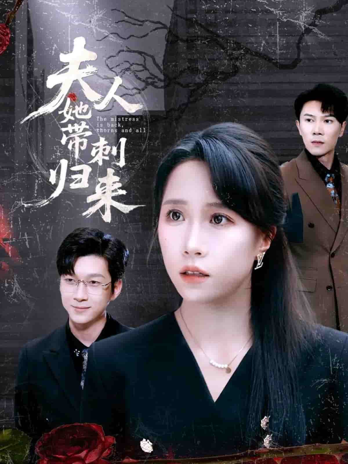 夫人她帶刺歸來