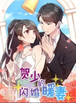 賀少的閃婚暖妻 動態(tài)漫第一季