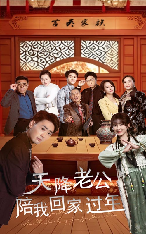 天降老公陪我回家過年