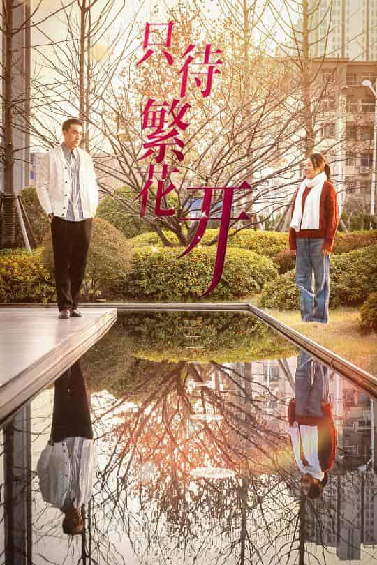 只待繁花開(kāi)